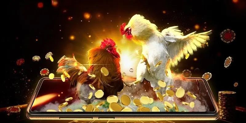 Đá Gà Thomo - Siêu Phẩm Cược Kê Trực Tuyến Hot Nhất